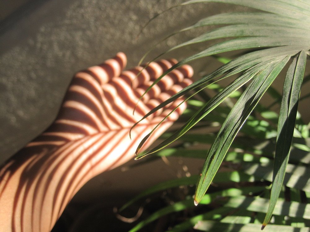 Photograph by Priyanka Bula