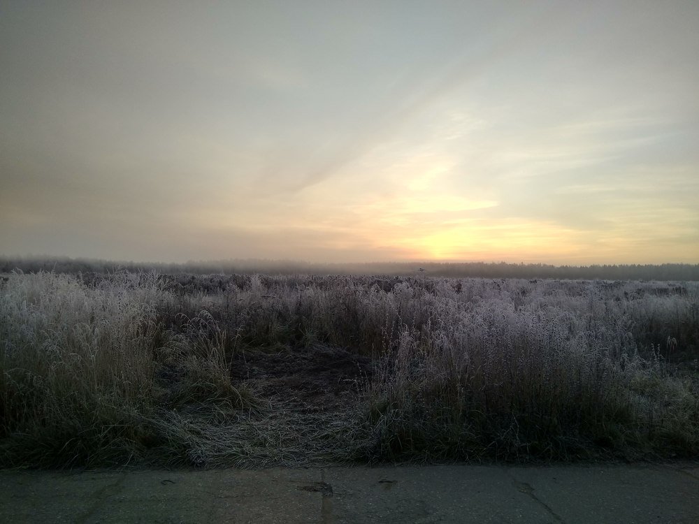 Photo #4641083