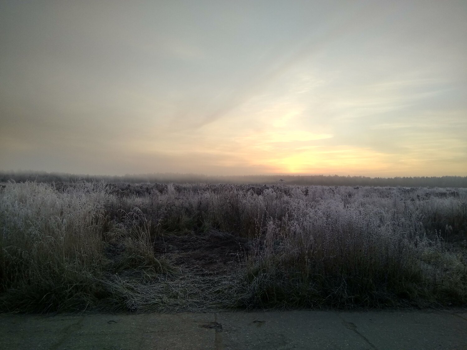 Photo #4641083
