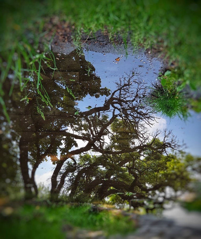 Отражение внешнего мира...