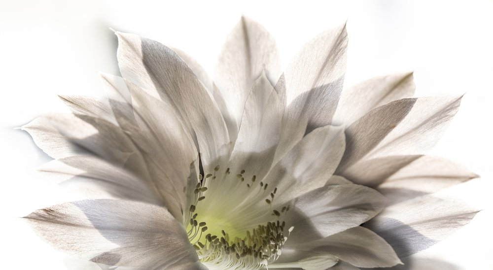 Photograph by Дериглазова Марина Владимировна