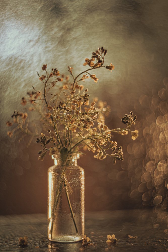 Photograph by Марина Тихонова