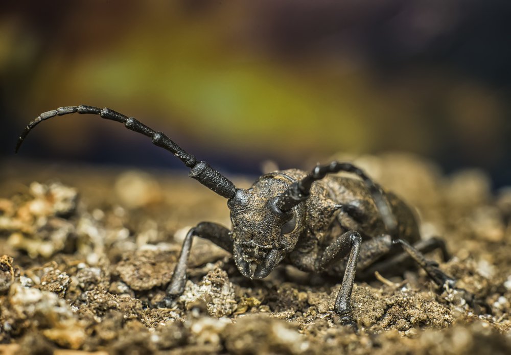 Photograph by Василий Либко