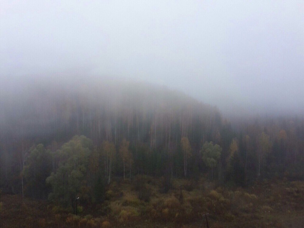 Photograph by Ксения Максименко