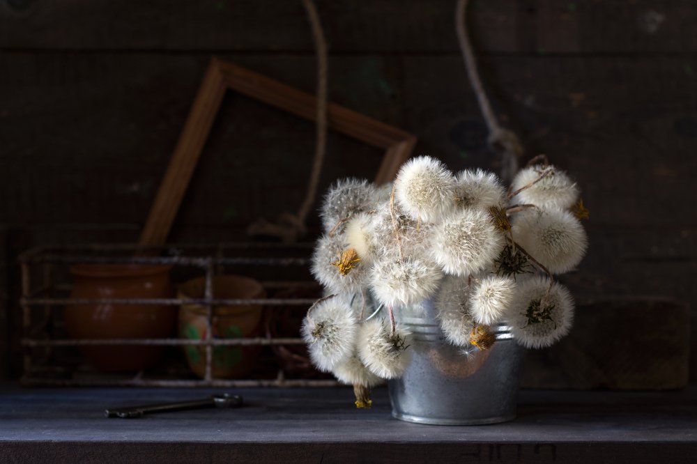 Забытый букет