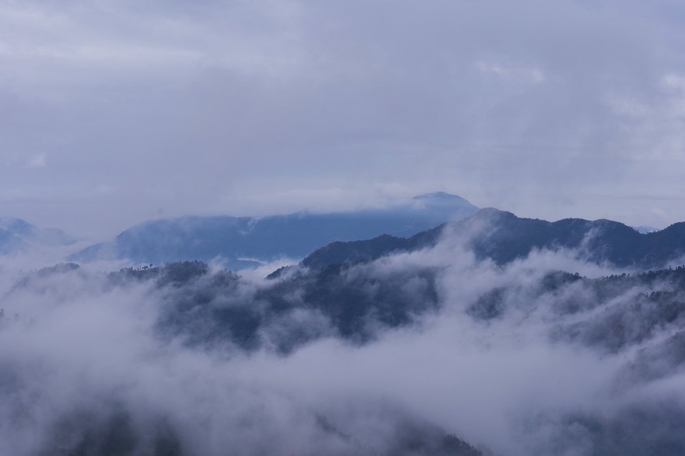 Photograph by Seshu Chandaka