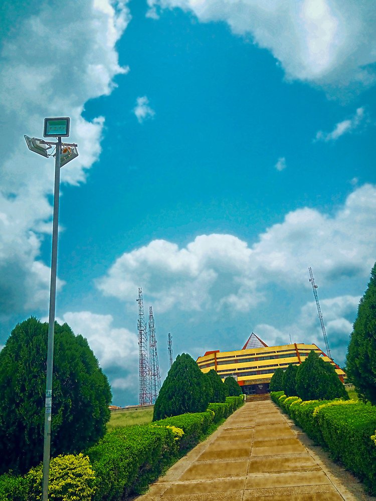 Mobile Photography