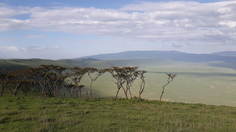 Ngorongoro serenity