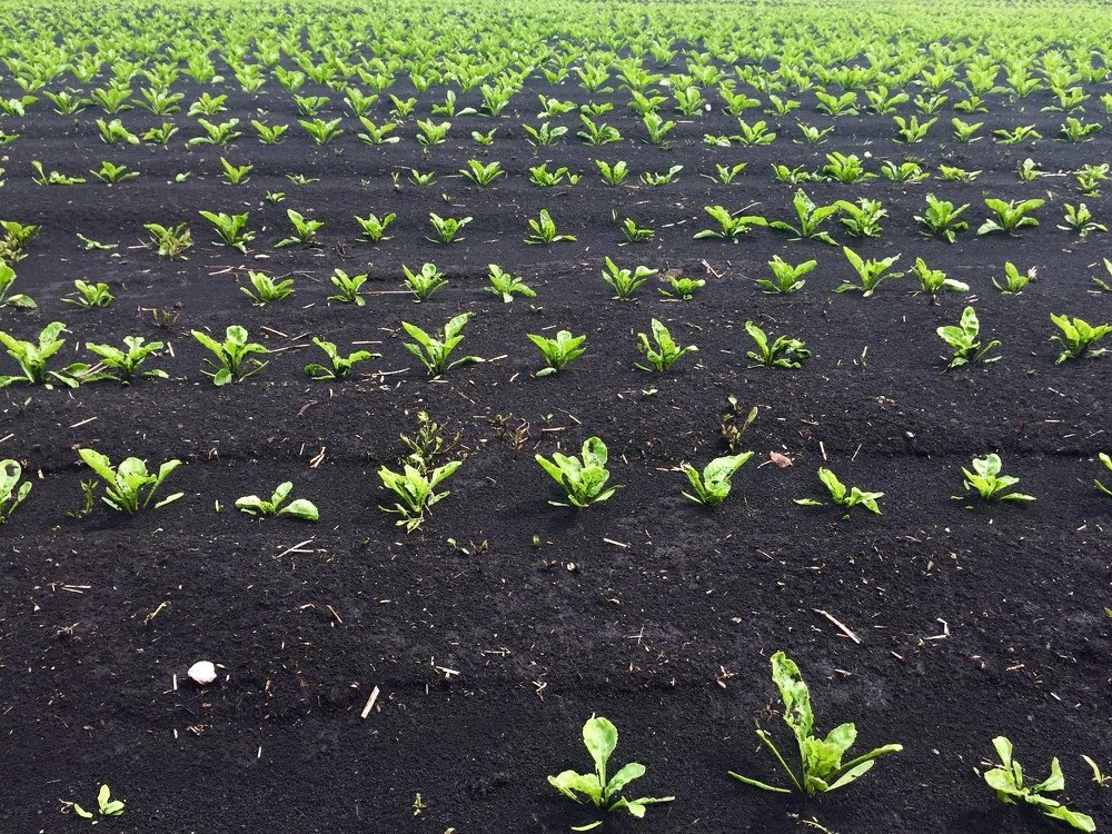 Photograph by Анастасия Козлова