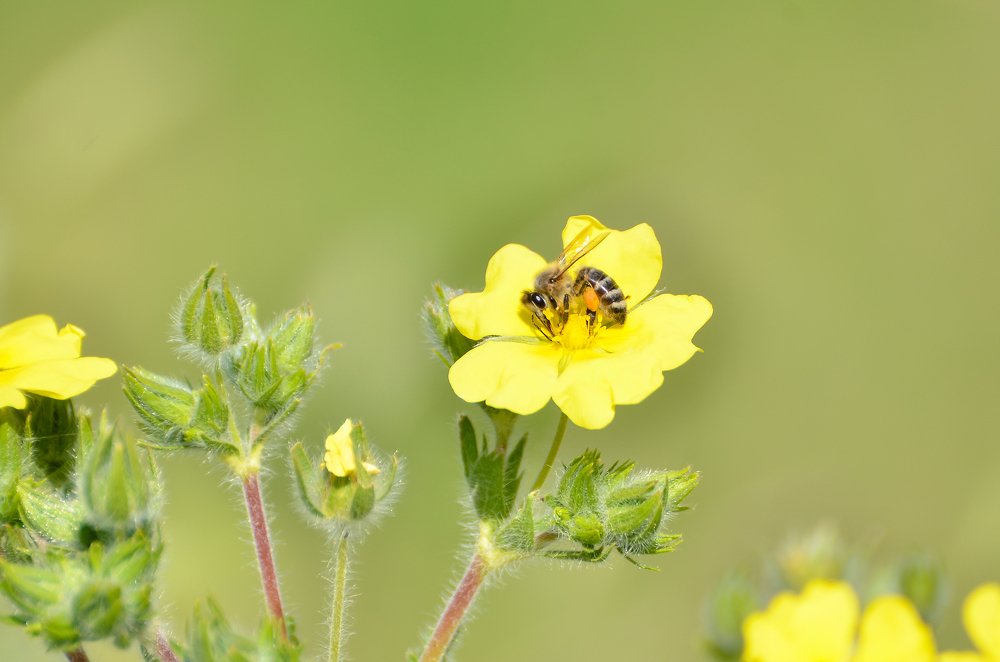 Photograph by Касьян Антонина Васильевна