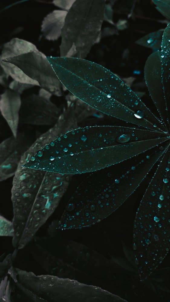 Photograph by Twizz Twizz