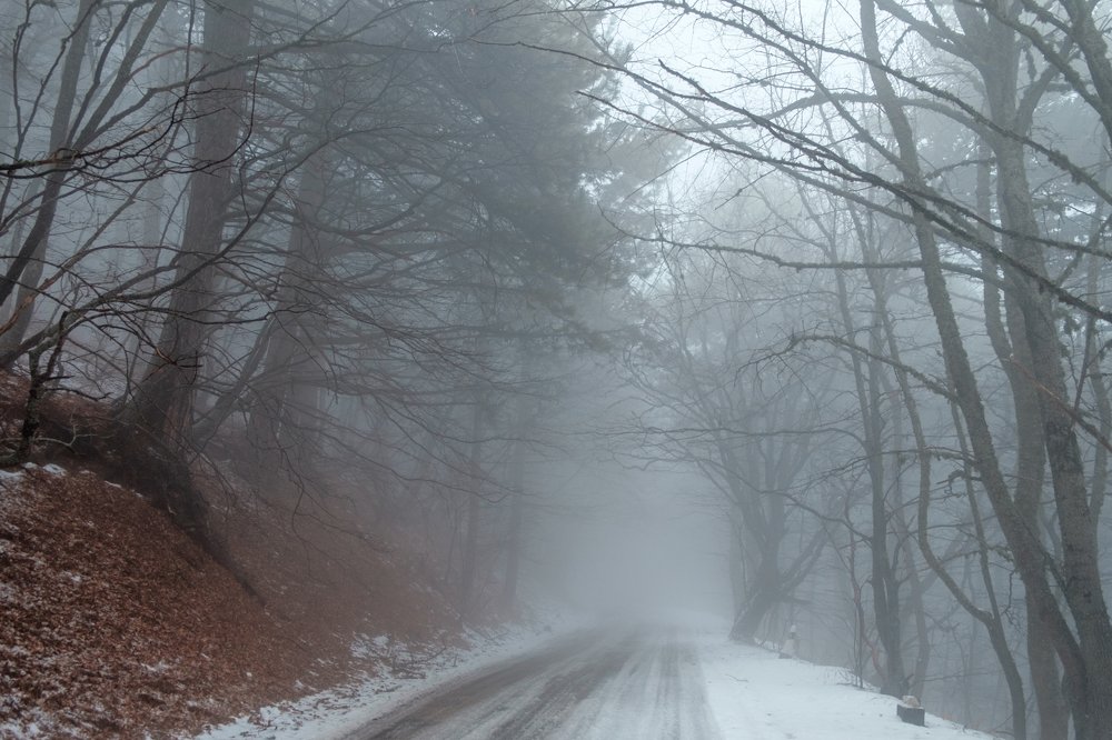 Photograph by Анатолий Асеев