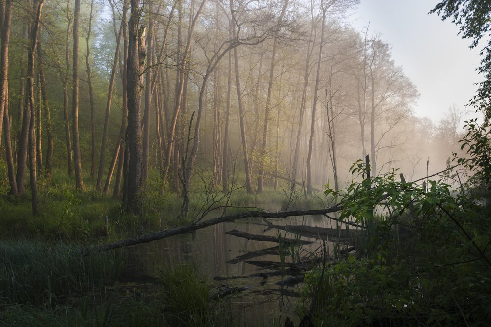 Photograph by Александр Кыров
