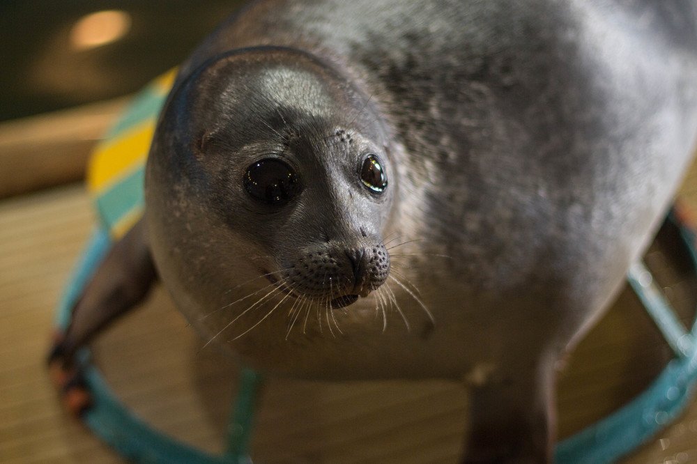 Photograph by Антон