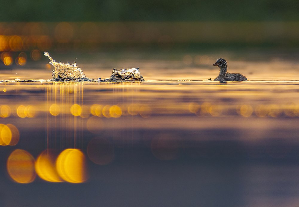 Photograph by Ramesh karmakar