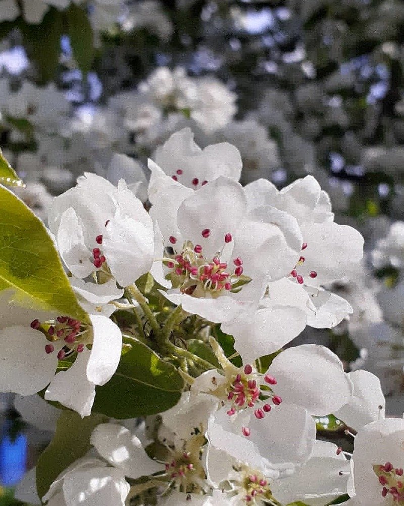 Photograph by Любовь Макарова