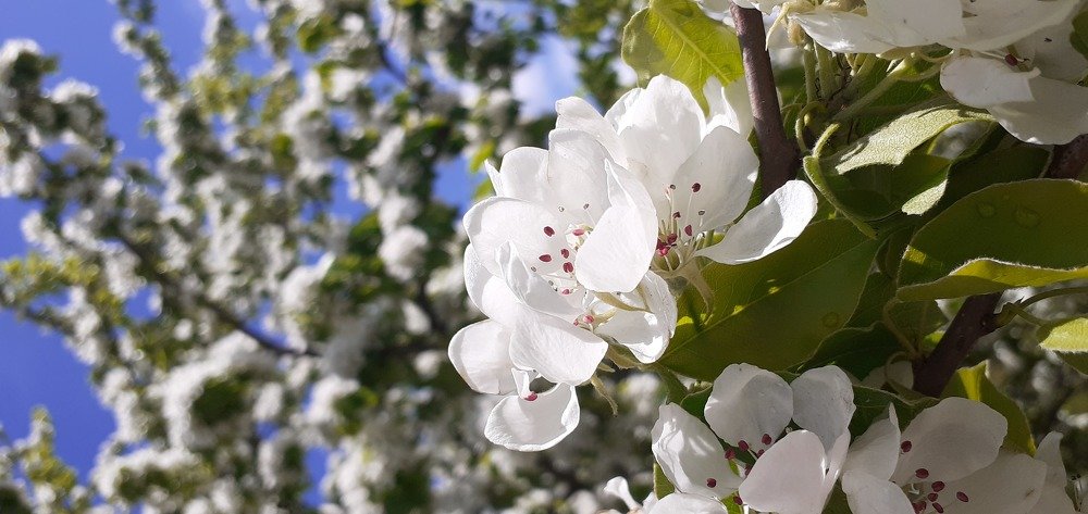 Photograph by Любовь Макарова