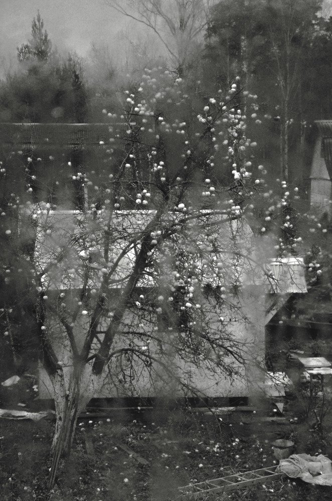 Сквозь вуаль