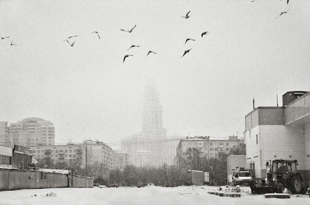 Полет в тумане