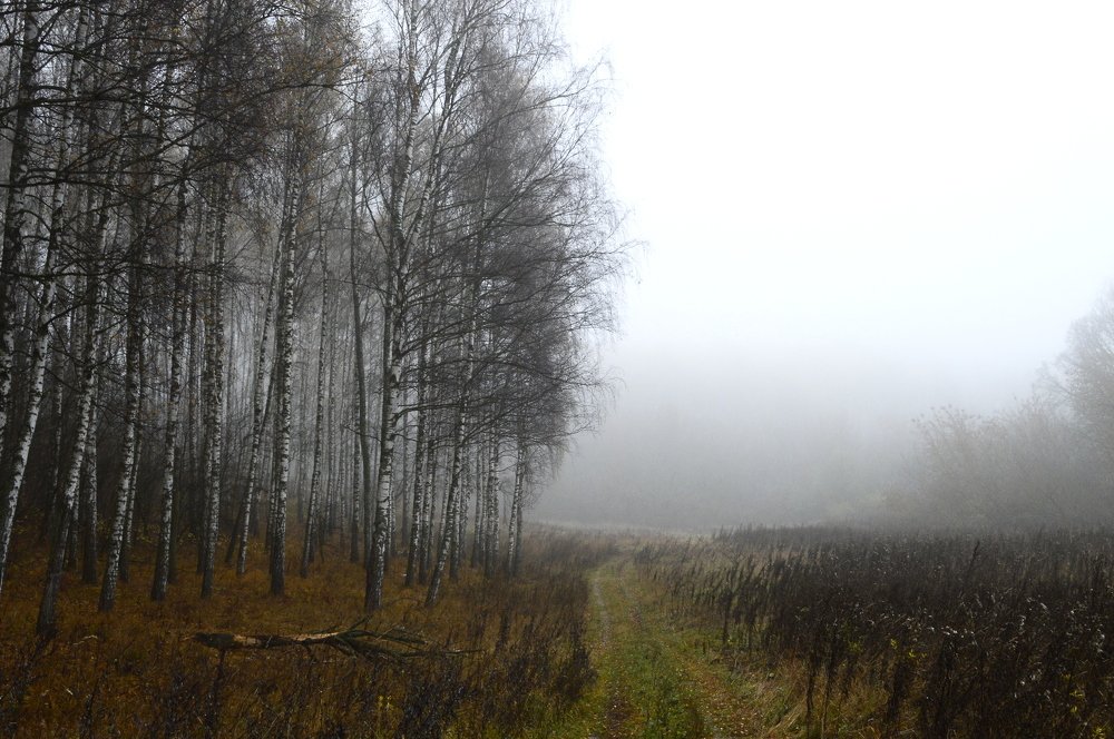 Photograph by Татьяна Калугина