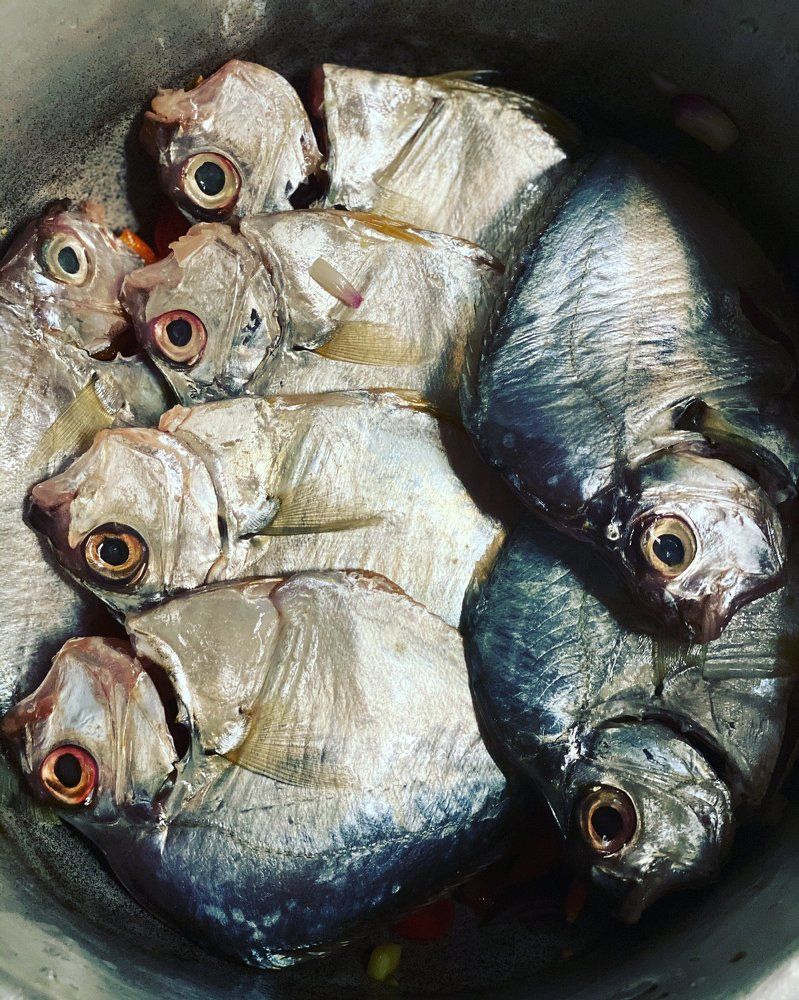 Photograph by Ronaldo Mateo