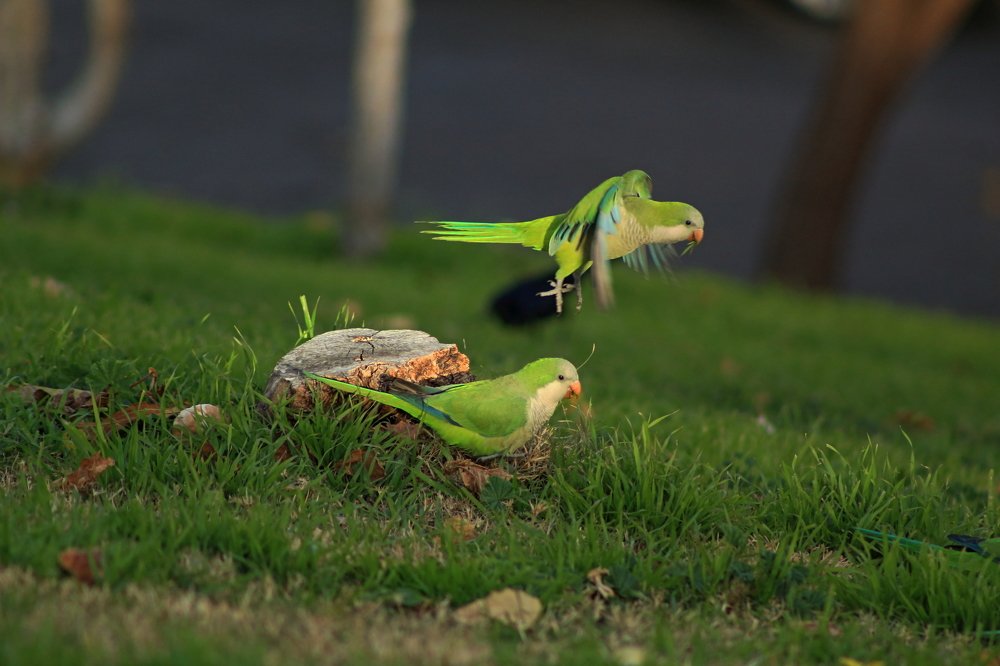 Photograph by Pérez valdez Joel