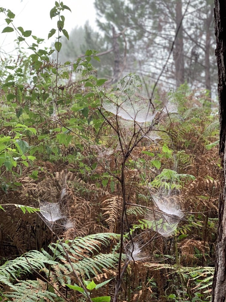 Photograph by Ronaldo Mateo