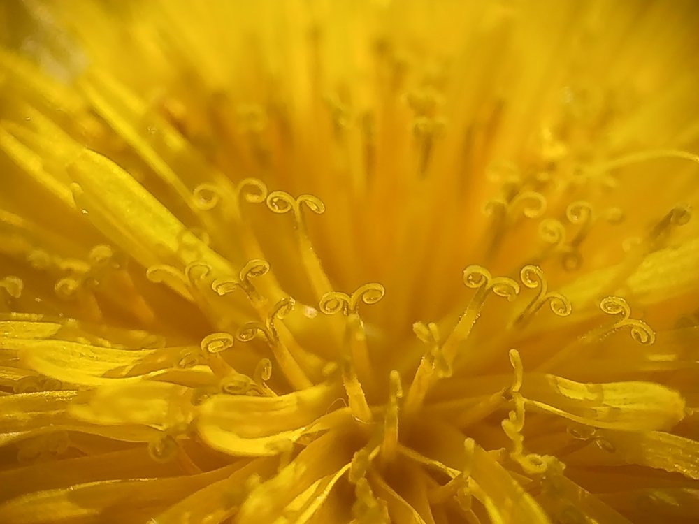 Photograph by Павел Агапов