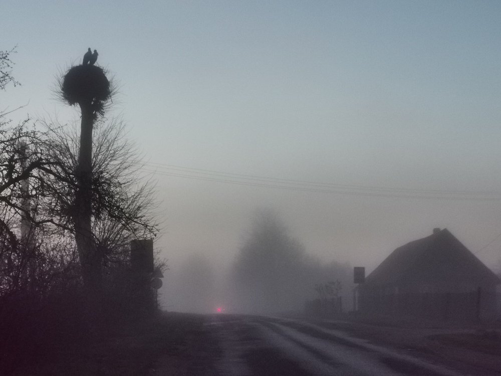 Photograph by Рутковская Жанна