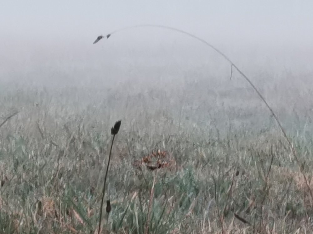 Photograph by Рутковская Жанна