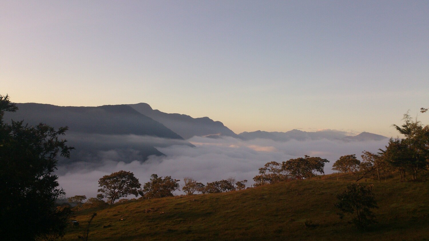Photo #4642087