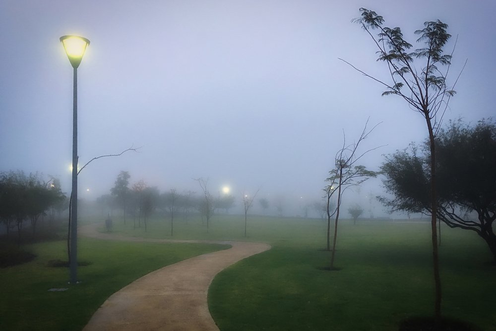 Photograph by Alfredo Fresán