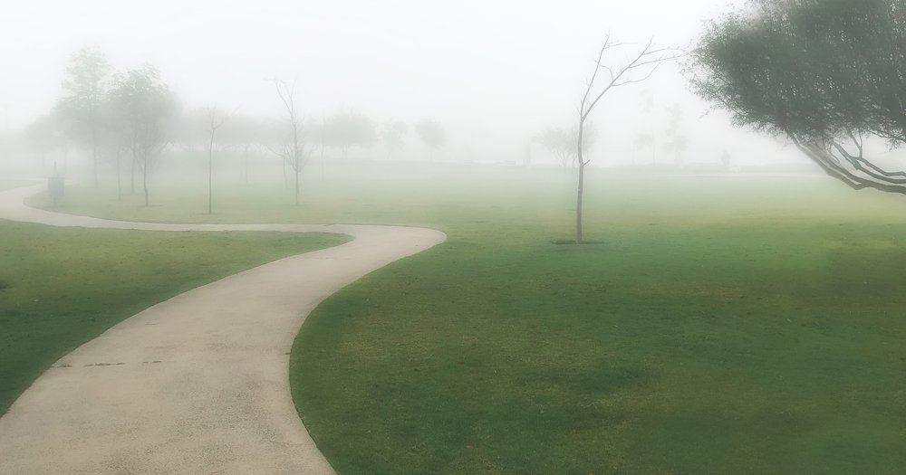 Photograph by Alfredo Fresán