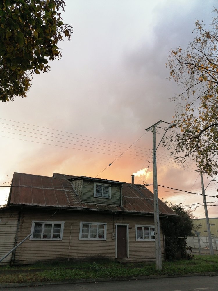 Photo #4642256