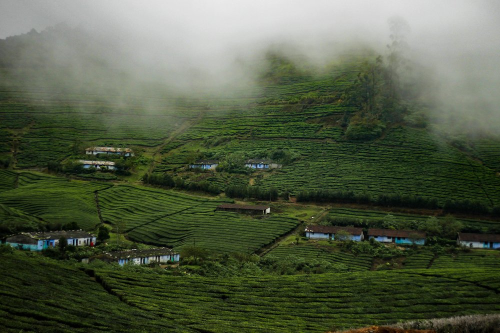 Photograph by Sundaram