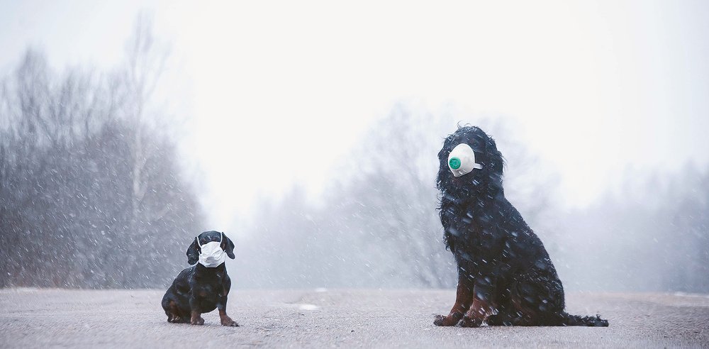 Photograph by Ольга Мурзина