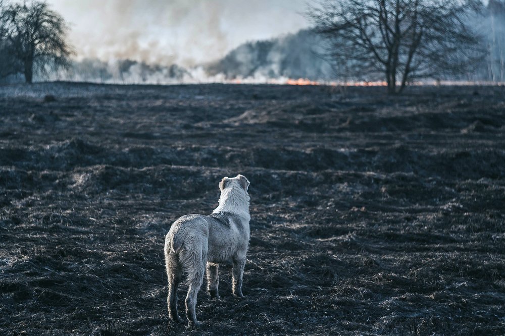 Photograph by Ольга Мурзина