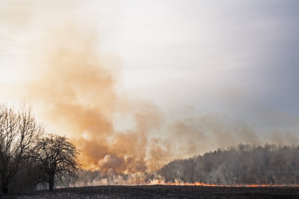 Photograph by Ольга Мурзина
