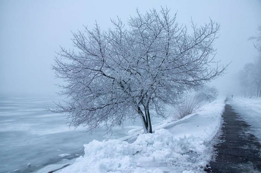 туман в Таганроге
