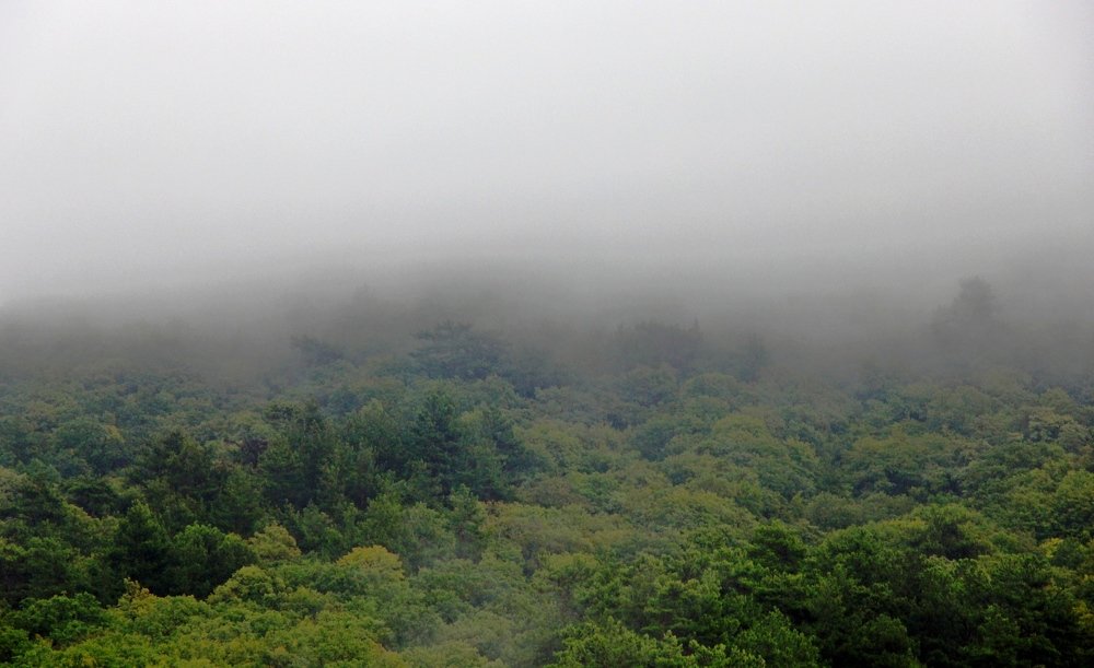 Photograph by Александр Бугаенко