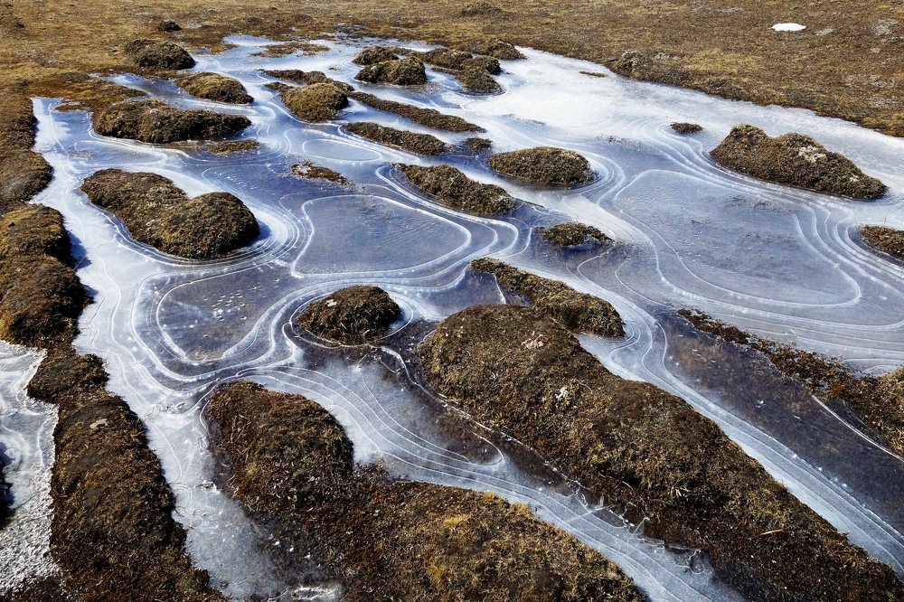 Рисунки утреннего мороза