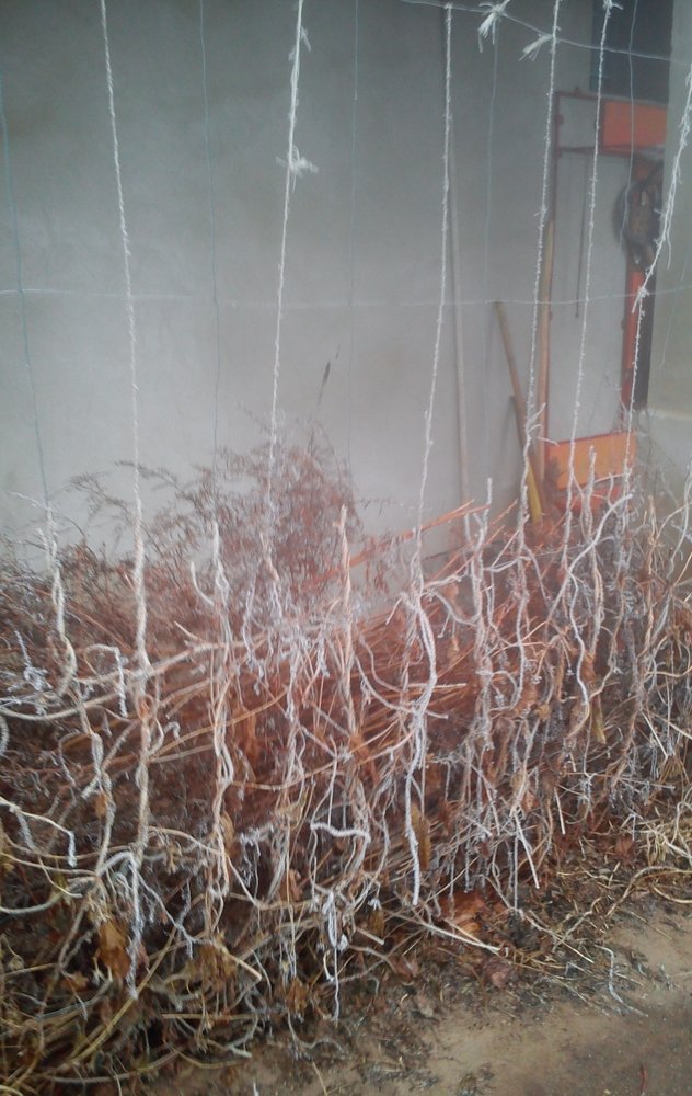 Photograph by eszter bodnár