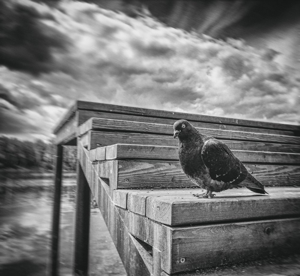 Photograph by Павел Мачагин