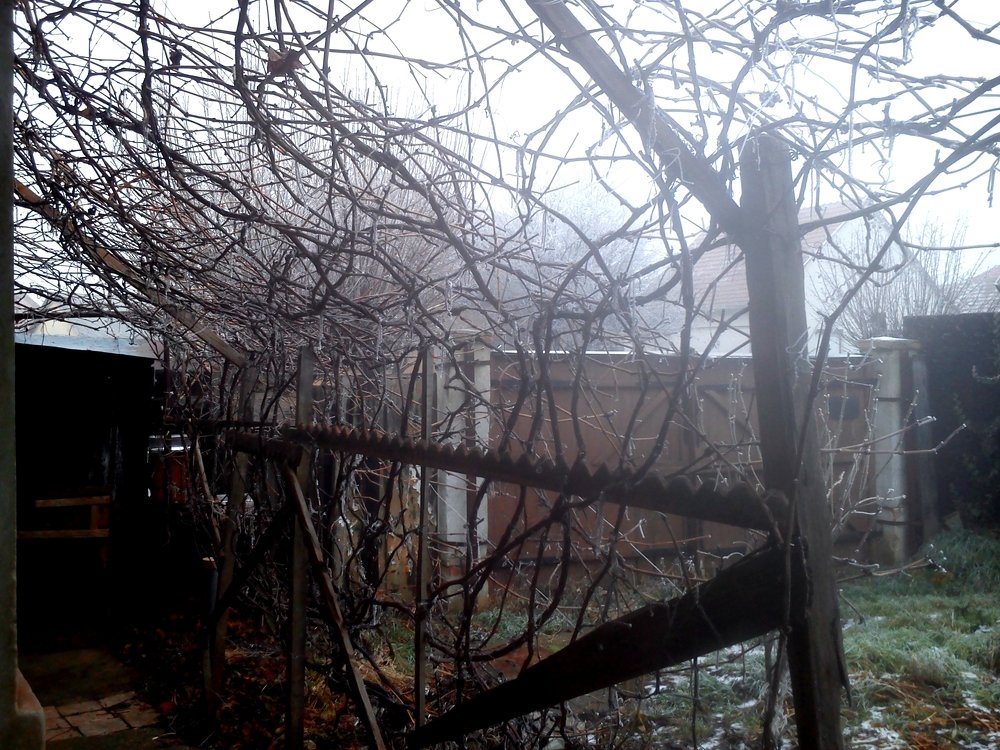 Photograph by eszter bodnár