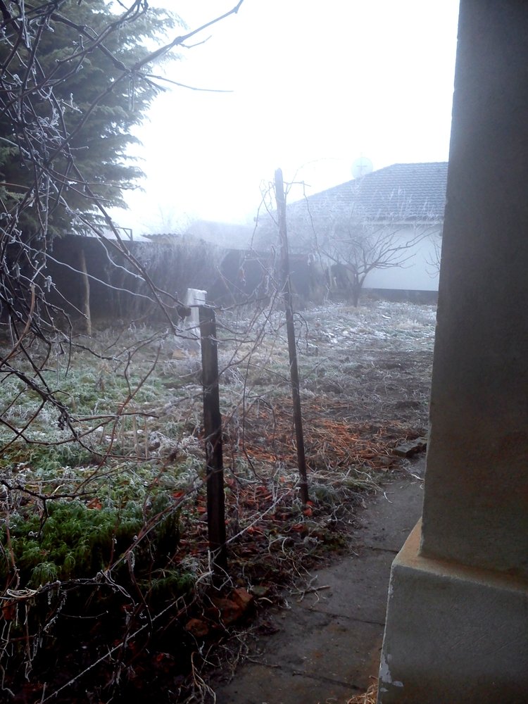 Photograph by eszter bodnár