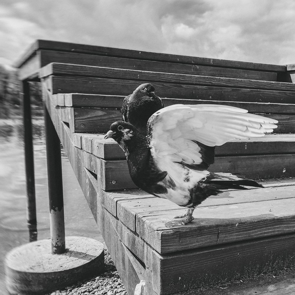 Photograph by Павел Мачагин