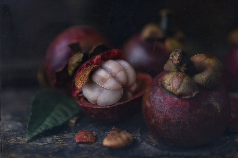 Photograph by Svoboda Andreeva