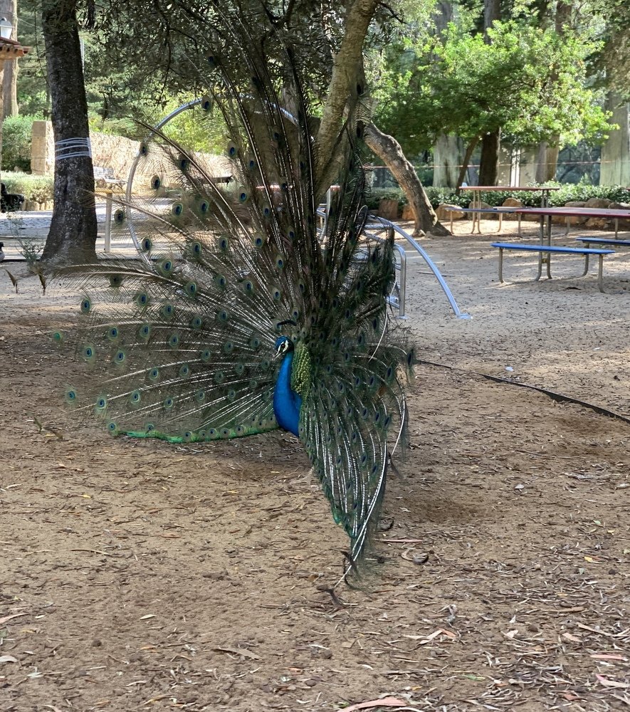 Photograph by Sanjaya Kunwar