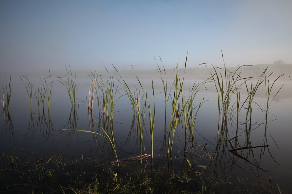Зелёные линии