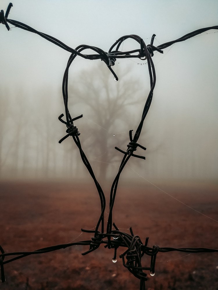 Photograph by Vladislav Tot